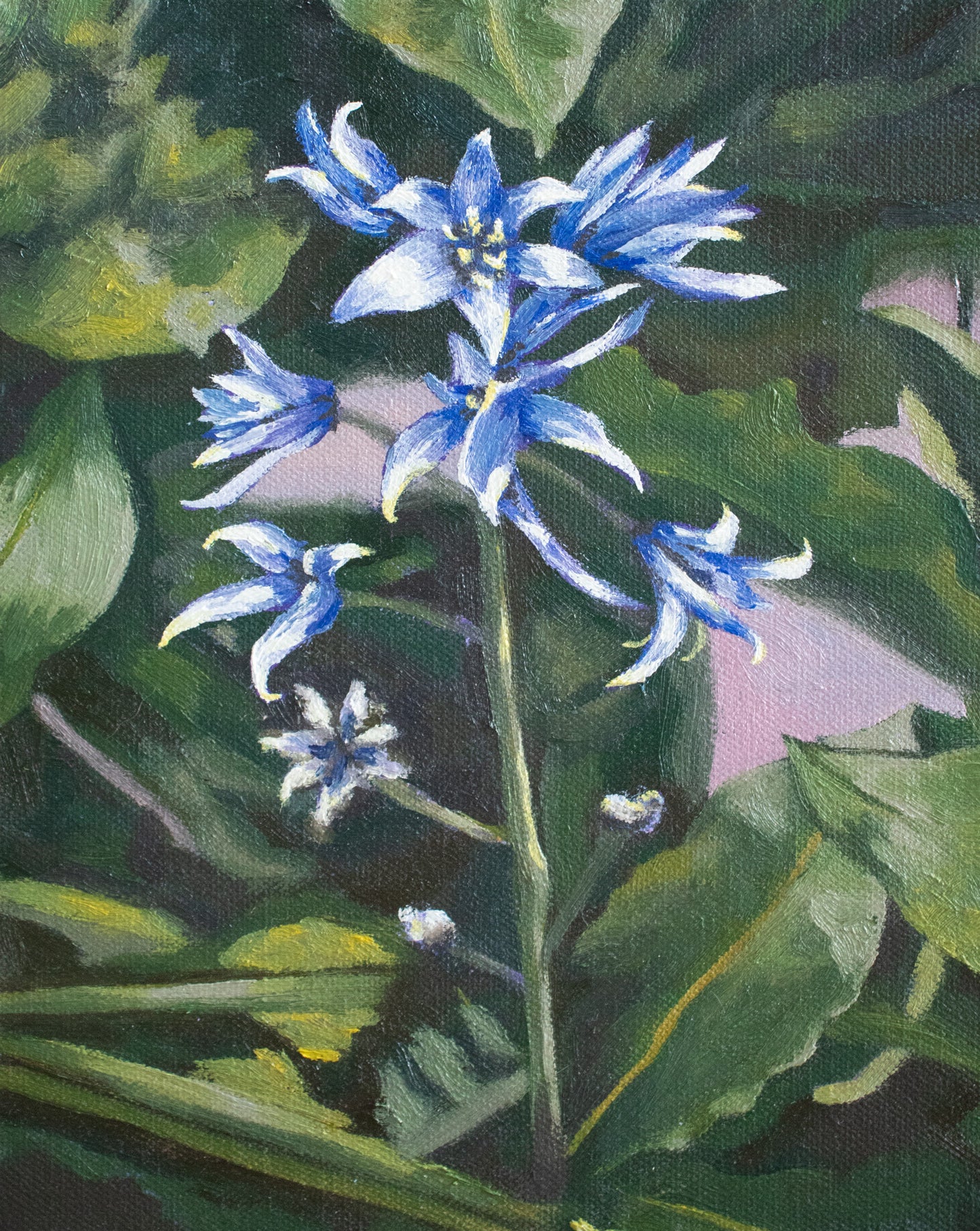 “Spring Beauty” art print A4