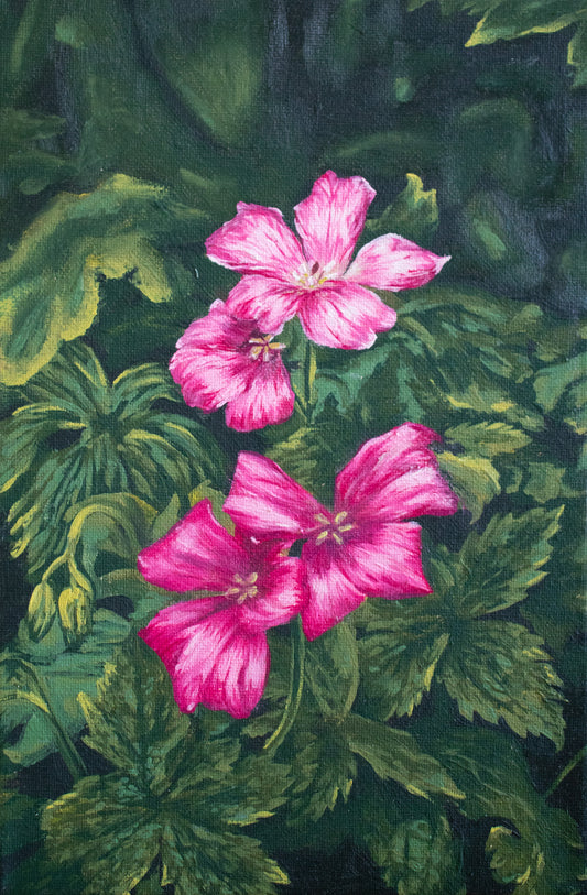 “Cranesbill” art print A4