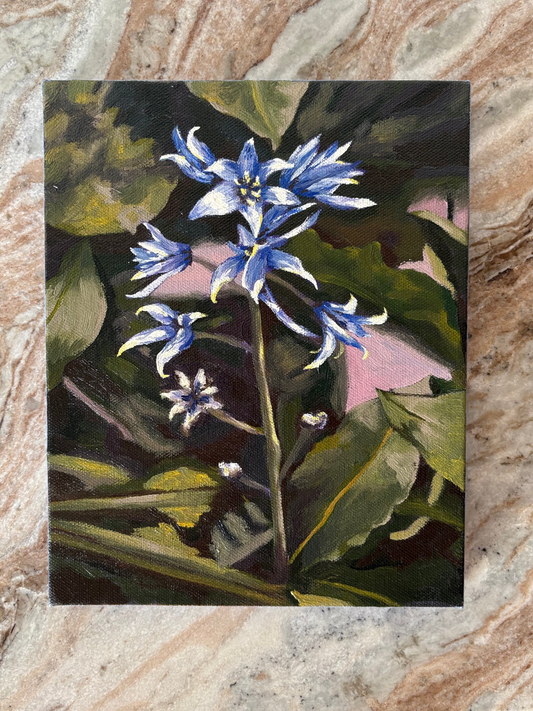 “Spring Beauty” original 8x10” oil
