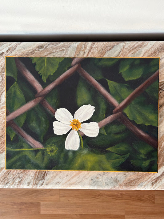 “Soldiers vegetable” original 16x12” oil